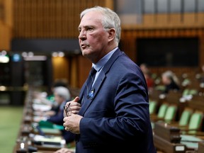 Then-Public Safety Minister Bill Blair speaks in the House of Commons on April 20, 2020.