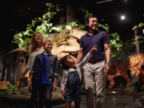Learn about nature at the Canadian Museum of Nature and then experience the real thing with a visit to Gatineau Park. Photo by Ottawa Tourism.