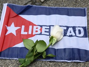A Cuban flag reading "Freedom" and a white rose are seen on the pavement during a demonstration of Cubans living in Guatemala in support of anti-government protests taking place in their country, in Guatemala City on Nov. 14, 2021.