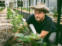 Whether he's performing or growing cannabis, Jim Belushi says the goal is the same; to make people feel good. PHOTO BY TYLER MADDOX