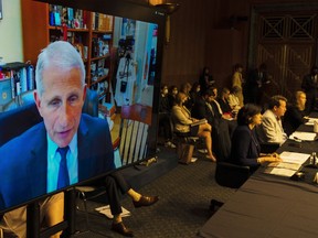 Dr. Anthony Fauci, Director of the National Institute of Allergy and Infectious Diseases, testifies virtually during a Senate Health, Education, Labor, and Pensions Committee hearing to examine an update on the ongoing Federal response to COVID-19, Thursday, June 16, 2022, on Capitol Hill in Washington.