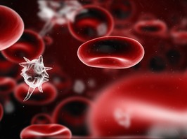 Blood cells infected by virus - depth-of-field