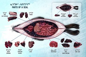 Parts of a Seal, Nirjutit Imaani