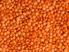 Delicious lentils, which Canada grows more of than anyone else.