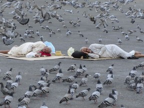 Pigeons surround pilgrims outside the the Grand Mosque in the Saudi Arabia's holy city of Mecca, Tuesday, July 5, 2022. Saudi Arabia is expected to receive one million Muslims to attend Hajj pilgrimage, which will begin on July 7, after two years of limiting the numbers because coronavirus pandemic.