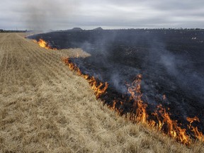 Grain fields burn, on the outskirts of Kurakhove, Donetsk Oblast, eastern Ukraine, Thursday, July 21, 2022.