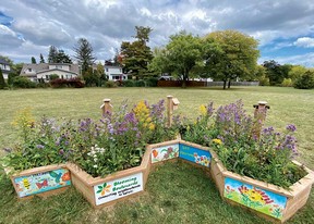 Community pollinator garden
