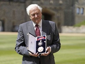 FILE - Sir David Attenborough poses for a photo after being appointed a Knight Grand Cross of the Order of St Michael and St George following an investiture ceremony at Windsor Castle, in Windsor, England, June 8, 2022. A fossil of a 560-million-year-old creature, which researchers believe to be the first animal predator, has been named after the British naturalist and broadcaster David Attenborough. Scientists said Monday, July 25, 2022 they believe the specimen, named Auroralumina attenboroughii, is the earliest creature known to have a skeleton.