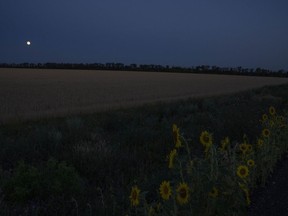 The moon lights the sky on a grain field and sunflowers, on the road in Donbas region, eastern Ukraine, Tuesday, July 12, 2022.