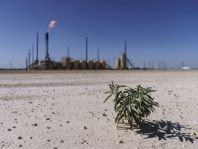 A lone plant grows from the dry soil next to a flare venting hydrocarbons in the Permian Basin in Pecos, Texas, Wednesday, Oct. 13, 2021. Each day the sun's energy enters the Earth's atmosphere. Some is absorbed and some bounces back into space. The accumulation of carbon dioxide and methane in the blanket of gases encircling the Earth is holding more heat in. And there is now nearly three times as much methane in the air than there was before industrial times. The year 2021 saw the worst single increase ever.