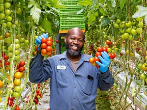 Through the Seasonal Agricultural Worker Program, Errol Mitchell has worked seasonally in Canada for the past 16 years supporting his family back in Jamaica. - Photo Supplied