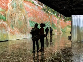Imagine Monet is an ever-changing showcase of 200 paintings that flow over walls and floors. SUPPLIED