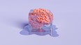human brain inside an ice cube thawing. 3d rendering