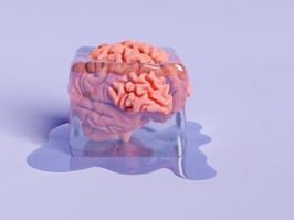 human brain inside an ice cube thawing. 3d rendering