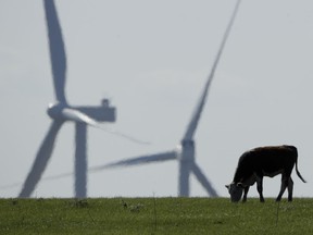 FILE - A cow grazes in a pasture as wind turbines rise in the distance, April 27, 2020, near Reading, Kan. The climate deal reached by Senate Democrats could reduce the amount of greenhouse gases that American farmers produce by expanding programs that help sequester carbon in soil, fund climate-focused research and lower the abundant methane emissions that come from cows.