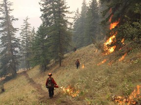 A Unit Crew conducts planned ignitions above Yellow Lake near Olalla in this recent handout photo.The BC Wildfire Service says planned ignitions are scheduled to enclose a fire burning in the southern Okanagan.&ampnbsp;THE CANADIAN PRESS/HO-BC Wildfire Service