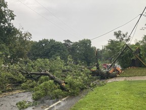 A tree and wires block Four Mile Road NE near Provin Trails Park in the Grand Rapids, Mich., area Monday, Aug. 29, 2022.