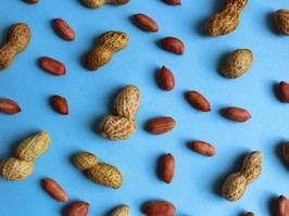 Texture of peanuts in shell and without lie on a blue background.