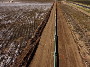 Pipes sit in a cotton field waiting to be installed for new oil pipelines in Lenorah, Texas, Friday, Oct. 15, 2021. The frenetic search for more gas and oil is happening just as President Biden and world leaders are promising to cut methane emissions across the world.