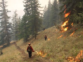 Firefighters try to rein in the wildfire burning near Penticton, B.C. that has forced the evacuation of more than 500 properties.