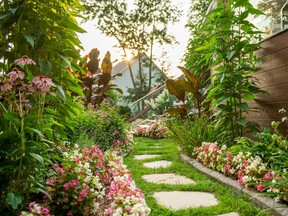 Gardeners can take advantage of vertical space by training plants to climb over a fence or pergola, while tall shrubs add privacy.