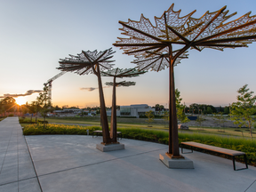 Maple Leaf Trellis, by Dutch twin group Verhoeven, offers fanciful interpretations of idyllic Canadian foliage.
