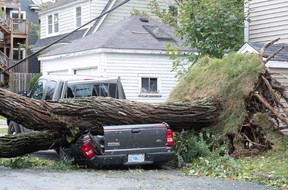 Ein umgestürzter Baum liegt auf einem zerquetschten Pickup, nachdem der Hurrikan Fiona am 24. September 2022 in Halifax, Nova Scotia, Kanada, zu einem posttropischen Sturm herabgestuft wurde.