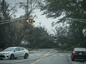 Vehicles turn around as trees and downed power lines block a road after Post-Tropical Storm Fiona hit on September 24, 2022 in Reserve Mines, Nova Scotia on Cape Breton Island in Canada. Photo by Drew Angerer/Getty Images