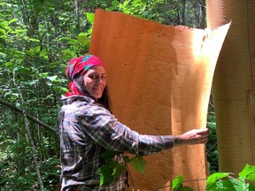 Helen Pelletier erntet Birkenrinde auf territorialem Land in Fort William First Nation, Thunder Bay.