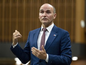 Federal Health Minister Jean-Yves Duclos says the  government is “taking the necessary steps to build a comprehensive, longer-term dental care program.”