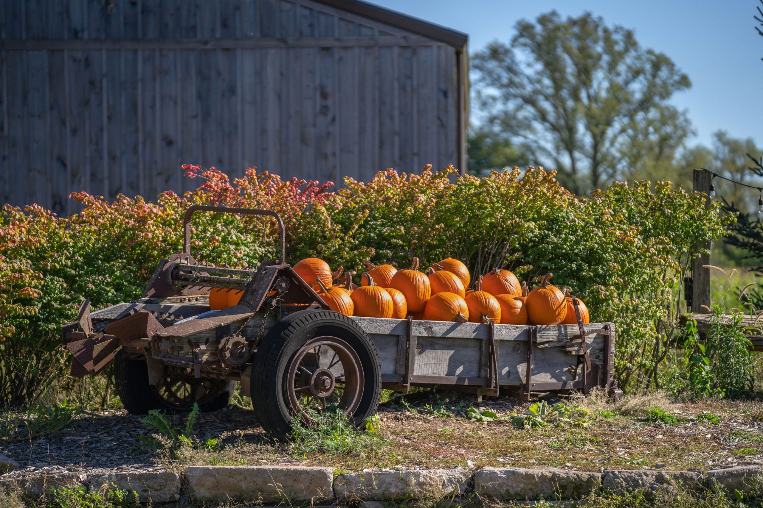 Discover Waterloo region’s new and favourite attractions this fall ...