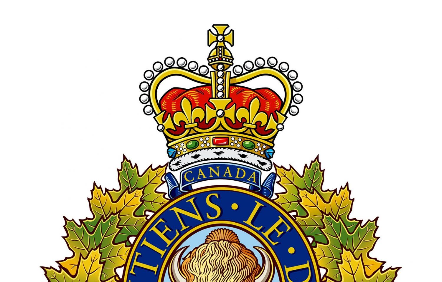 rcmp badge 2022