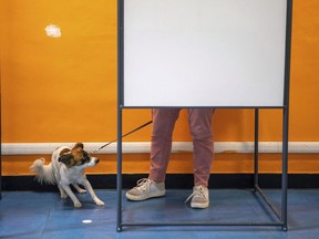 A dog reacts as a person votes at a polling station, in Torino, Italy, Sunday, Sept 25, 2022. Italians voted Sunday in an election that could move the country's politics sharply toward the right during a critical time for Europe, with war in Ukraine fueling skyrocketing energy bills and testing the West's resolve to stand united against Russian aggression.