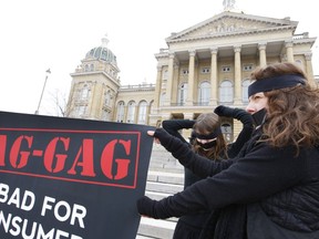FILE - Subrey Zill, left, puts on a blindfold as Melinda Ellwanger holds a large sign with members of Mercy For Animals, a national animal advocacy group, as they protest the passage "Ag Gag" at the Iowa state Capitol in Des Moines, March 1, 2012. A federal judge has struck down the third attempt by the Iowa Legislature to stop animal welfare groups from secretly filming livestock abuse, finding once again that the law passed in 2021 violates free speech rights in the U.S. Constitution.