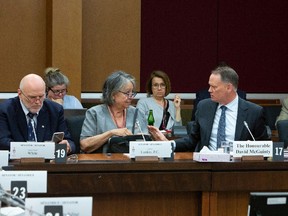 Sen. Vern White, Sen. Frances Lankin and David McGunity, chair of the National Security appear before the Senate National Security Committee in Ottawa in June 2019.