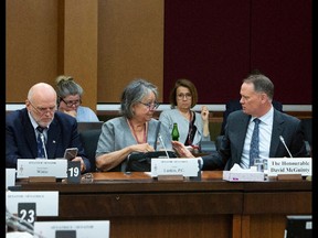 Sen. Vern White, Sen. Frances Lankin and David McGunity, chair of the National Security appear before the Senate National Security Committee in Ottawa in June 2019.