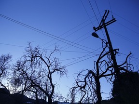FILE - Tree branches and utility cables are silhouetted as the sun rises over the town of Bisbee, Ariz., Oct. 26, 2021. An Arizona judge has ruled that the Church of Jesus Christ of Latter-day Saints may not use the state's "clergy-penitent privilege" to refuse to answer questions or turn over documents in a child sex-abuse case.