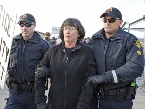 OPP officers arrest a woman protesting against an occupation by Indigenous people in Caledonia, Ont.