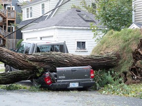 Ein umgestürzter Baum liegt auf einem zerquetschten Pickup nach dem Passieren des Hurrikans Fiona, der später zu einem posttropischen Sturm herabgestuft wurde, in Halifax, Nova Scotia, am 24. September 2022. REUTERS/Ted Pritchard