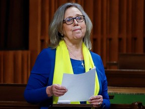 Elizabeth May speaks after Ukrainian President Volodymyr Zelenskyy addressed Parliament on March 15, 2022. May is once again running for the leadership of the Green Party of Canada, which she led from 2006 to 2019.