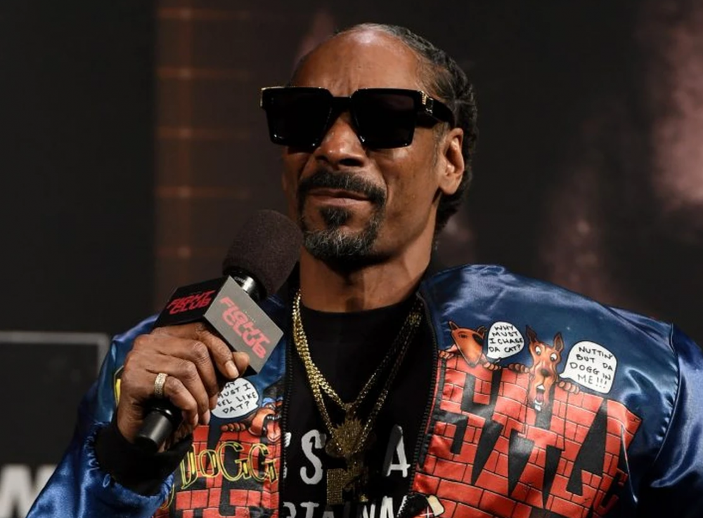 Snoop Dogg articulates how we all feel about AI right now | Brantford ...