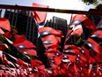 Taiwanese flags wave at the park decorated by Chang Lao-wang, ahead of Taiwan National Day in Taoyuan, Taiwan, October 5, 2022. REUTERS/Ann Wang