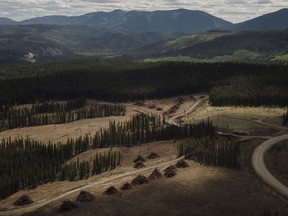 Logged areas near the Ram River Coal Corp. proposed Aries Mine Pit site west of Rocky Mountain House, Alta., Tuesday, June 1, 2021. Supporters of open-pit coal mining say there's a chance new mines could be built in Alberta's Rockies after comments from the province's new premier.
