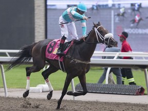 Jockey Rafael Hernandez celebrates as he rides Moira over the finish line to win the 163rd running of the $1-million Queen's Plate in Toronto on Sunday, August 21, 2022.&ampnbsp;Queen's Plate champion Moira will run in the $750,000 E.P. Taylor Stakes on Saturday at Woodbine Racetrack.