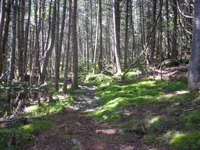Newfoundland's East Coast Trail.