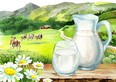 Jug and glass of milk on the table in the background of the landscape and the cows. Watercolor hand drawn illustration isolated on white background