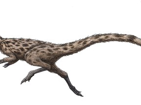 This is an artist's rendering of the dinosaur Podokesaurus holyokensis, which lived millions of years ago in what is now Massachusetts. The dinosaur, whose name means "swift-footed lizard of Holyoke," has been named the official dinosaur of Massachusetts under legislation signed into law in Boston, Wednesday, Oct. 19, 2022, by Mass. Gov. Charlie Baker.