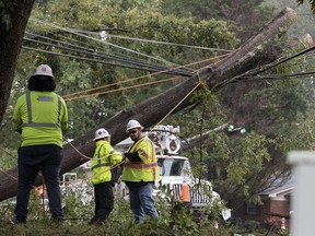 Crews work to clear a tree that fell on power lines on Cole Mill Road following Tropical Storm Ian on Saturday, Oct. 1, 2022, in Durham, N.C.