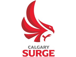 The Calgary team in the Canadian Elite Basketball League will be known as the Surge, the league announced Wednesday. The Calgary Surge, the relocated Guelph Nighthawks franchise, begin play when the 2023 season tips off in May. THE CANADIAN PRESS/HO-CEBL **MANDATORY CREDIT**