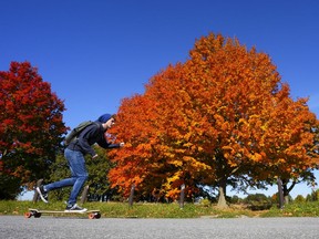 A person rides a skateboard by the fall foliage in Ottawa on Tuesday, Oct. 11, 2022. Experts say the vibrant orange, yellow and red colours Ontarians enjoying this fall season is something that have not been seen in recent years.